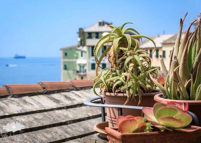 La Terrazzina Sul Mare *